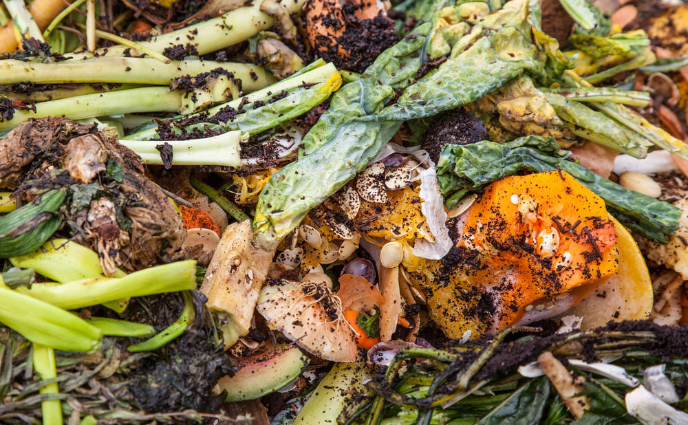 La realidad de los alimentos que tiramos a la basura