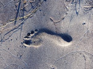 Las huellas de ozono en las empresas