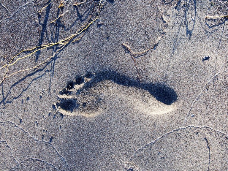Las huellas de ozono en las empresas